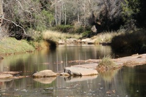 This is the creek in which we are trying to find our forever home on. 