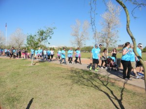 Teams walking for the cure