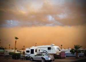 It's a new and wonderful world in my new little home.... Dust Storms and all.